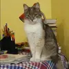 Отзыв от Алла Гладкова
